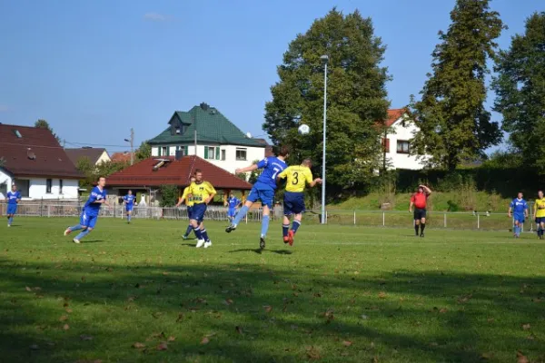 Punktspiel 2011 Kieselbach - FSV II