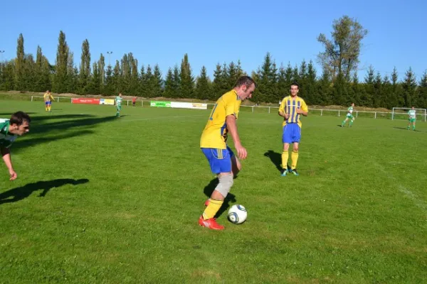 Punktspiel 2011 Immelborn - FSV