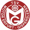 Motor Gispersleben