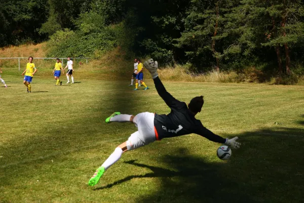 Testspiel FSV Leimbach - Glücksbrunn Schweina