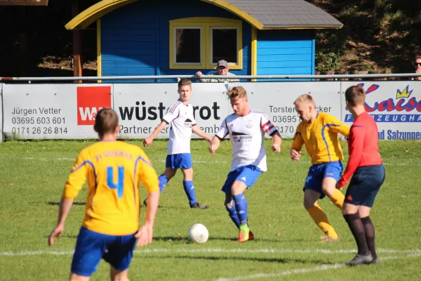 Punktpiel FSV Leimbach II - Borsch/Geismar III