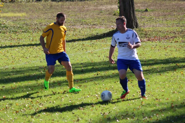 Punktpiel FSV Leimbach II - Borsch/Geismar III