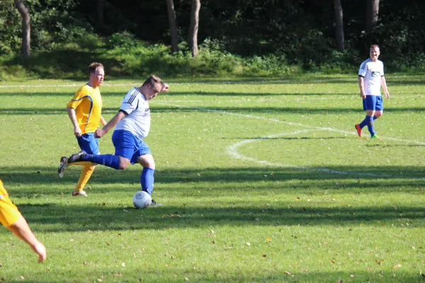 Punktpiel FSV Leimbach II - Borsch/Geismar III