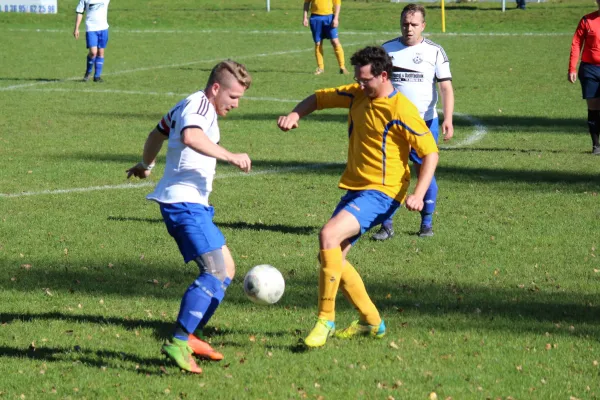 Punktpiel FSV Leimbach II - Borsch/Geismar III