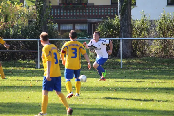 Punktpiel FSV Leimbach II - Borsch/Geismar III