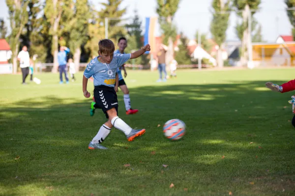 Weisweiler-Elf (Offizielle CD)