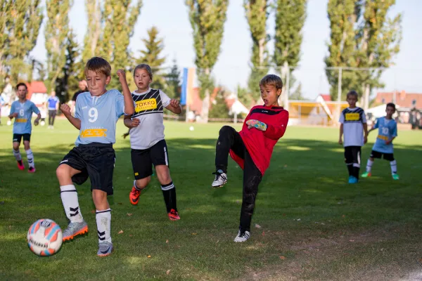 Weisweiler-Elf (Offizielle CD)