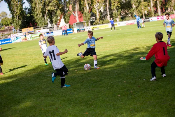 Weisweiler-Elf (Offizielle CD)