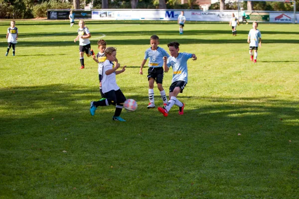 Weisweiler-Elf (Offizielle CD)