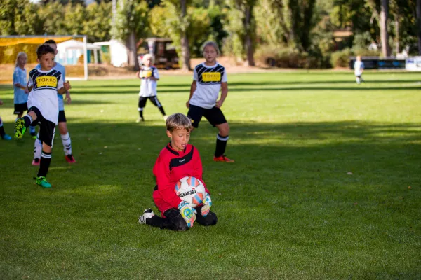 Weisweiler-Elf (Offizielle CD)