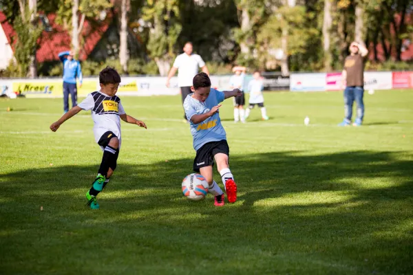 Weisweiler-Elf (Offizielle CD)