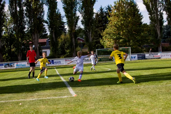 Weisweiler-Elf (Offizielle CD)