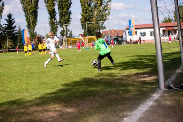 Weisweiler-Elf (Offizielle CD)