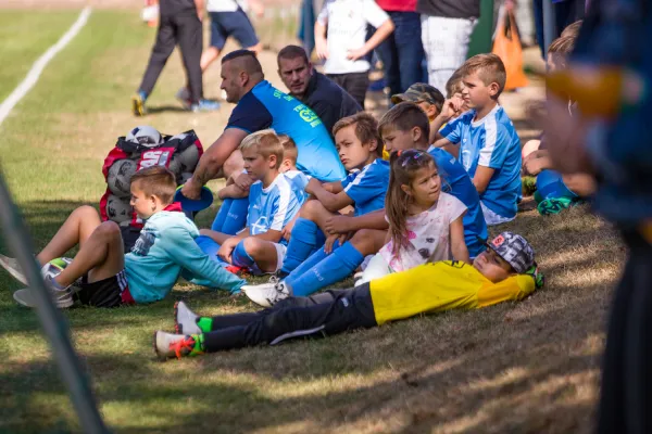 Weisweiler-Elf (Offizielle CD)