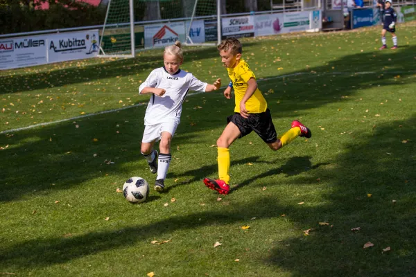 Weisweiler-Elf (Offizielle CD)