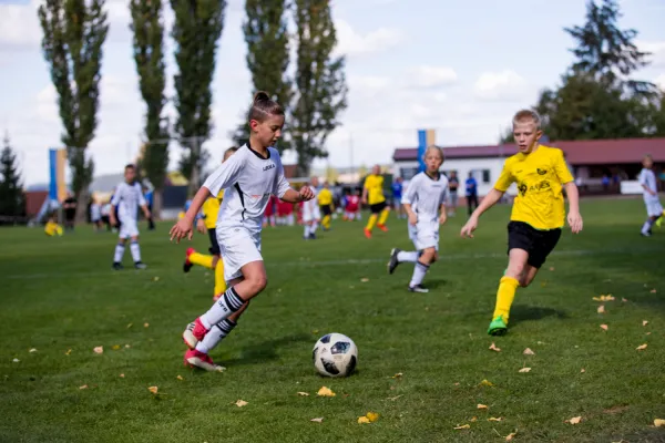 Weisweiler-Elf (Offizielle CD)