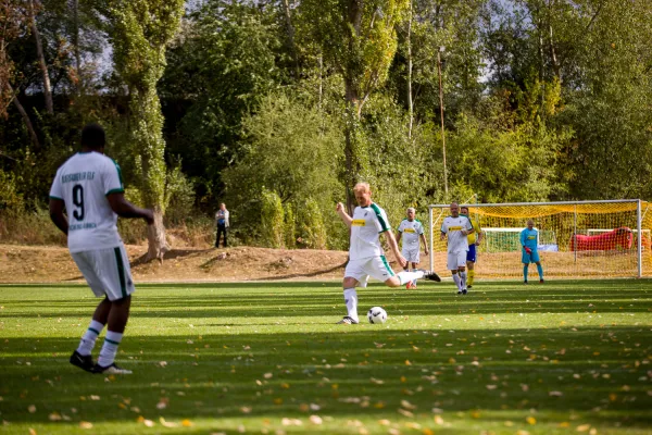 Weisweiler-Elf (Offizielle CD)