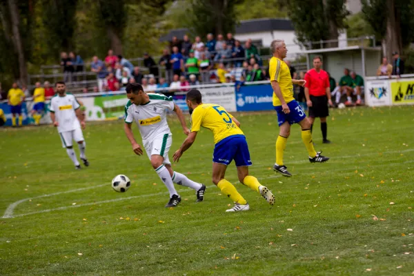 Weisweiler-Elf (Offizielle CD)