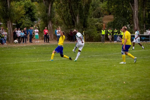 Weisweiler-Elf (Offizielle CD)