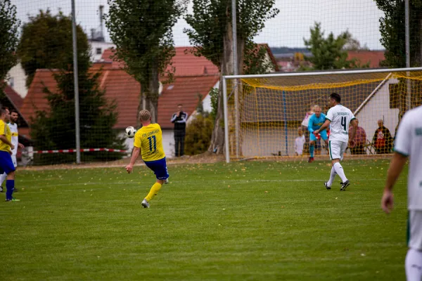 Weisweiler-Elf (Offizielle CD)