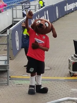 * FSV-Kids waren Einlaufkinder bei  Hannover 96 **