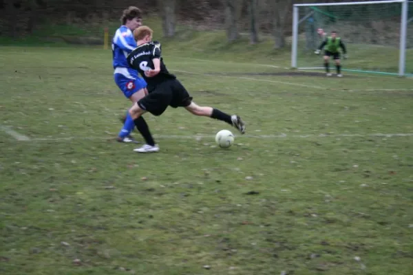 FSV - Borsch II (Teil I)