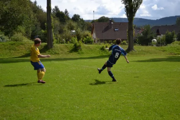 Punktspiel 2011 FSV - Kaltennordheim II