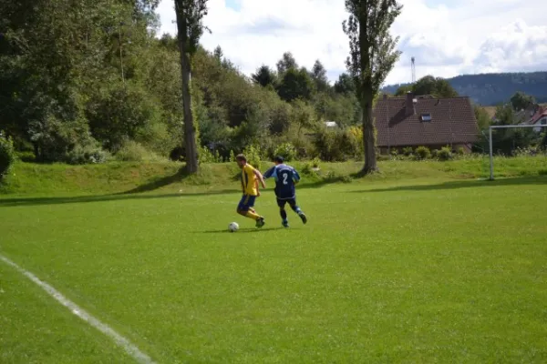 Punktspiel 2011 FSV - Kaltennordheim II