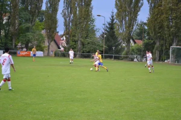 Punktspiel 2011 FSV - Langenfeld