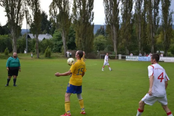Punktspiel 2011 FSV - Langenfeld