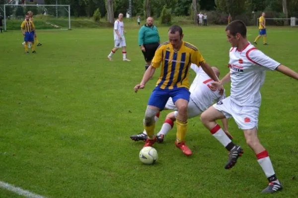Punktspiel 2011 FSV - Langenfeld
