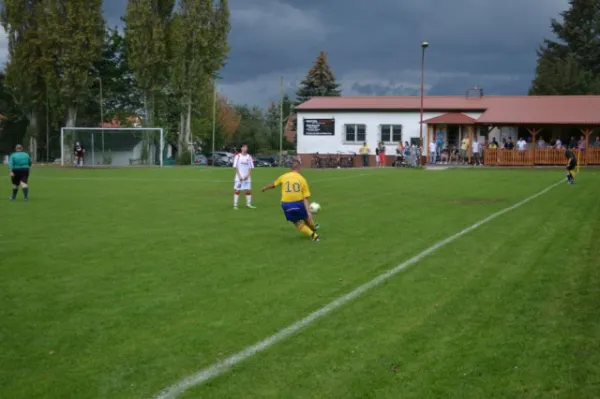 Punktspiel 2011 FSV - Langenfeld