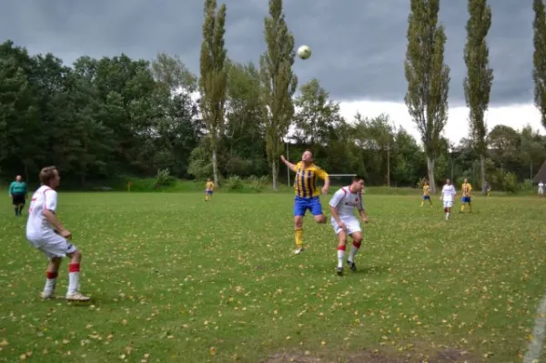 Punktspiel 2011 FSV - Langenfeld