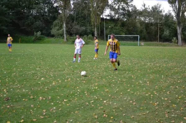 Punktspiel 2011 FSV - Langenfeld