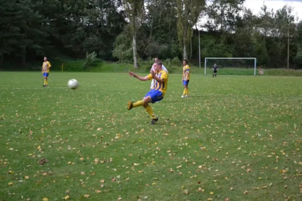 Punktspiel 2011 FSV - Langenfeld