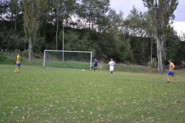 Punktspiel 2011 FSV - Langenfeld