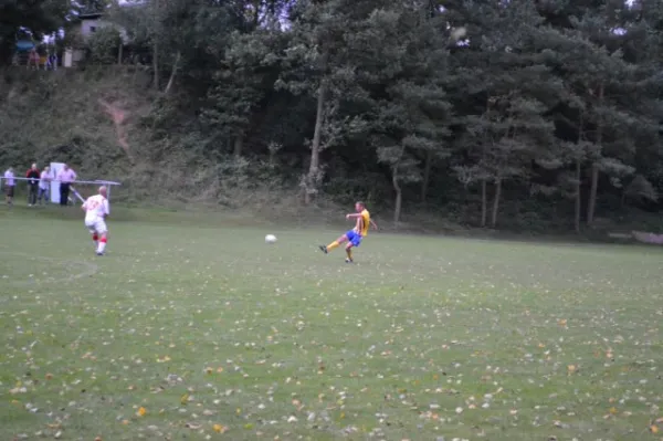 Punktspiel 2011 FSV - Langenfeld