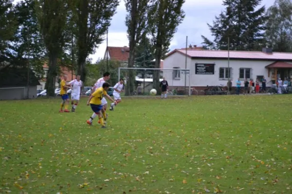 Punktspiel 2011 FSV - Langenfeld