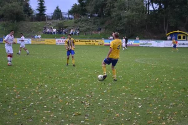 Punktspiel 2011 FSV - Langenfeld