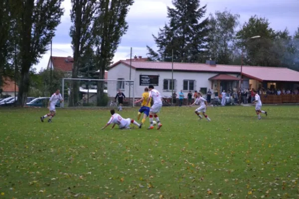 Punktspiel 2011 FSV - Langenfeld