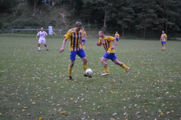 Punktspiel 2011 FSV - Langenfeld