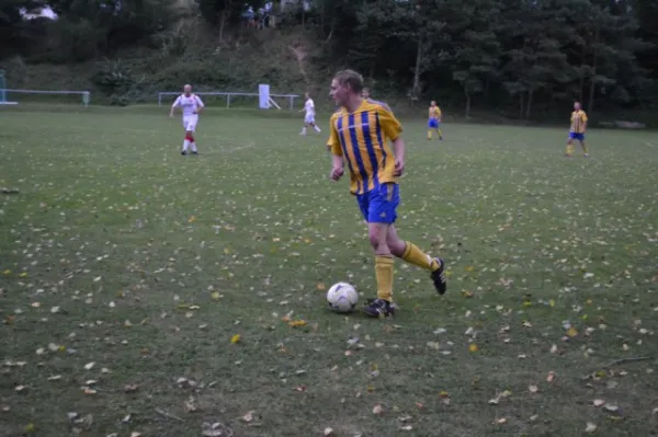 Punktspiel 2011 FSV - Langenfeld