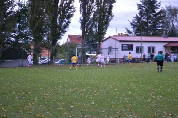 Punktspiel 2011 FSV - Langenfeld