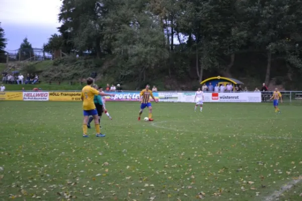 Punktspiel 2011 FSV - Langenfeld