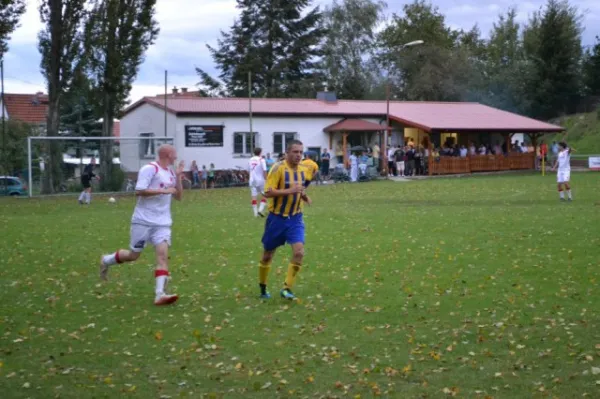 Punktspiel 2011 FSV - Langenfeld