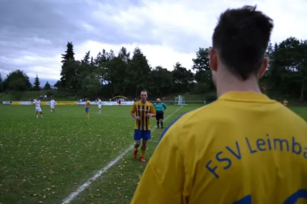 Punktspiel 2011 FSV - Langenfeld