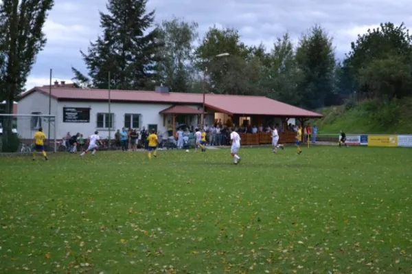 Punktspiel 2011 FSV - Langenfeld