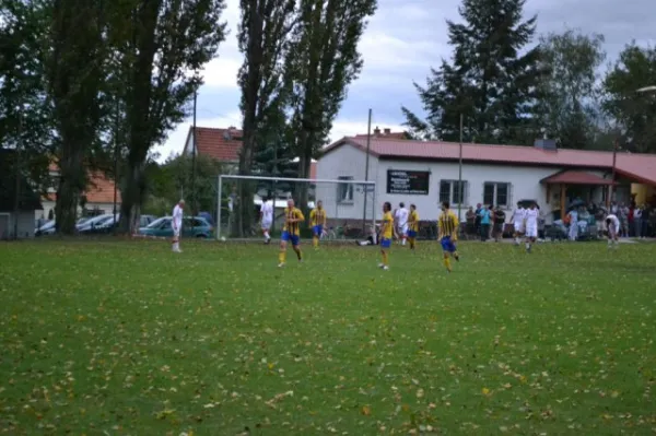 Punktspiel 2011 FSV - Langenfeld