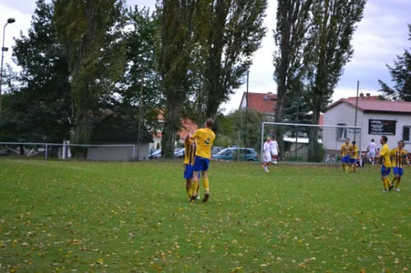 Punktspiel 2011 FSV - Langenfeld