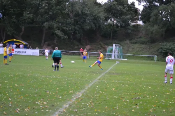 Punktspiel 2011 FSV - Langenfeld